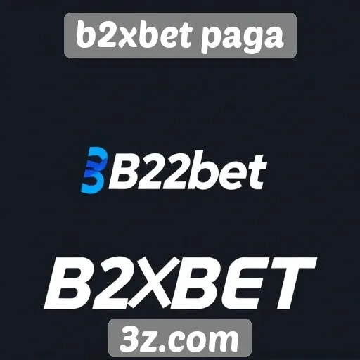 b2xbet paga análise de métodos de pagamento disponíveis
