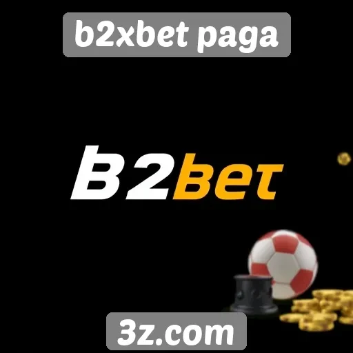 Opções de pagamento disponíveis no b2xbet paga